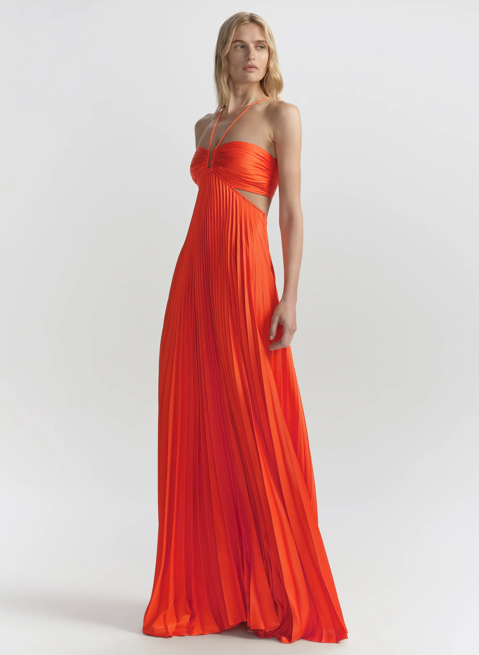 Moira Pleated Maxi Dress - Image 4